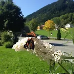 Garni Tannleger Brand (Vorarlberg)