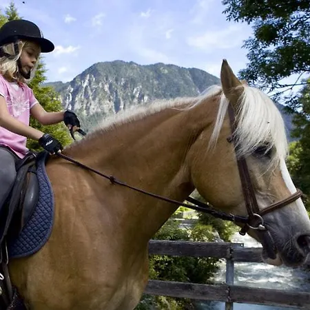 Garni Tannleger Hotel