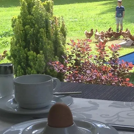 Hotel Garni Tannleger 4*