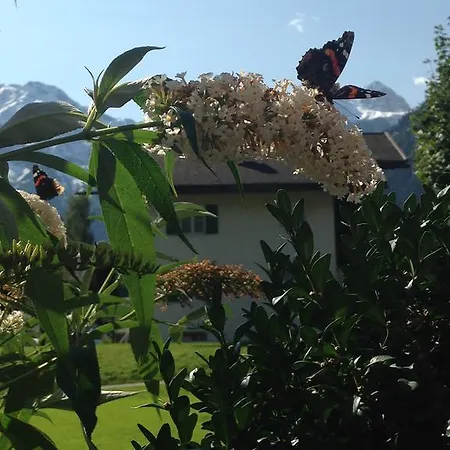 Otel Garni Tannleger Brand (Vorarlberg)