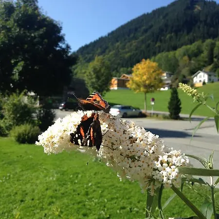 Garni Tannleger Brand (Vorarlberg)