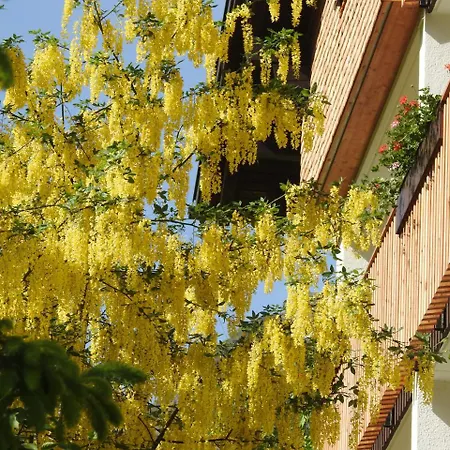 Garni Tannleger Hotel