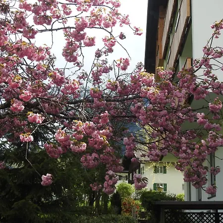 Garni Tannleger Hotel