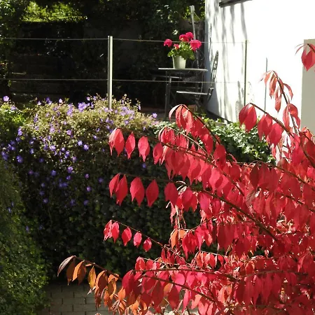 Hotel Garni Tannleger