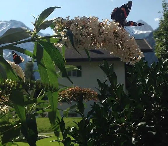 Hotel Garni Tannleger Brand (Vorarlberg)