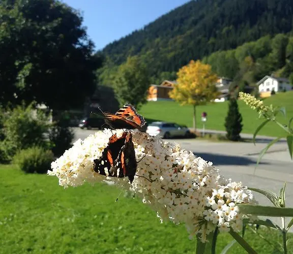 Garni Tannleger Brand (Vorarlberg)