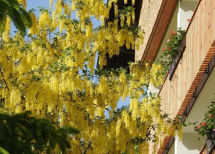 Garni Tannleger Hotel