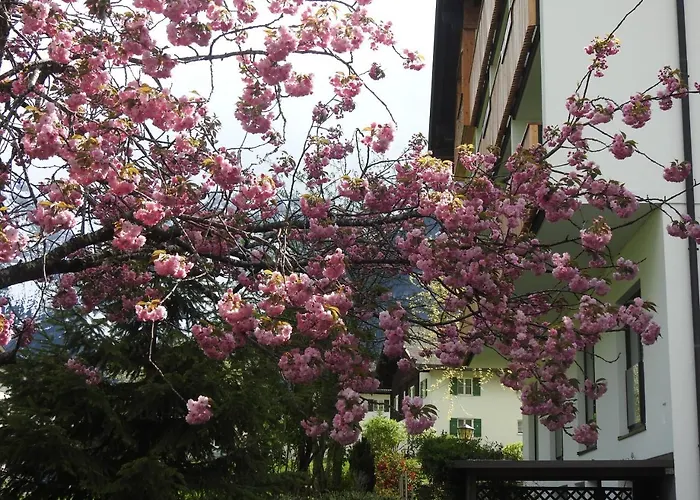 Garni Tannleger Hotel