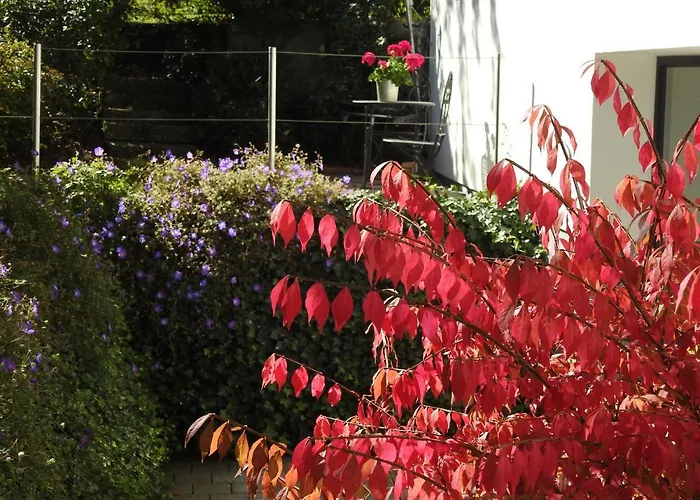 Hotel Garni Tannleger